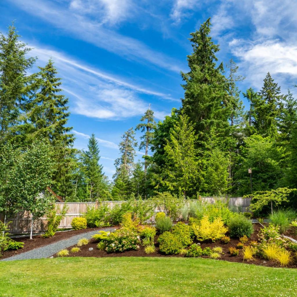 woodland garden beds