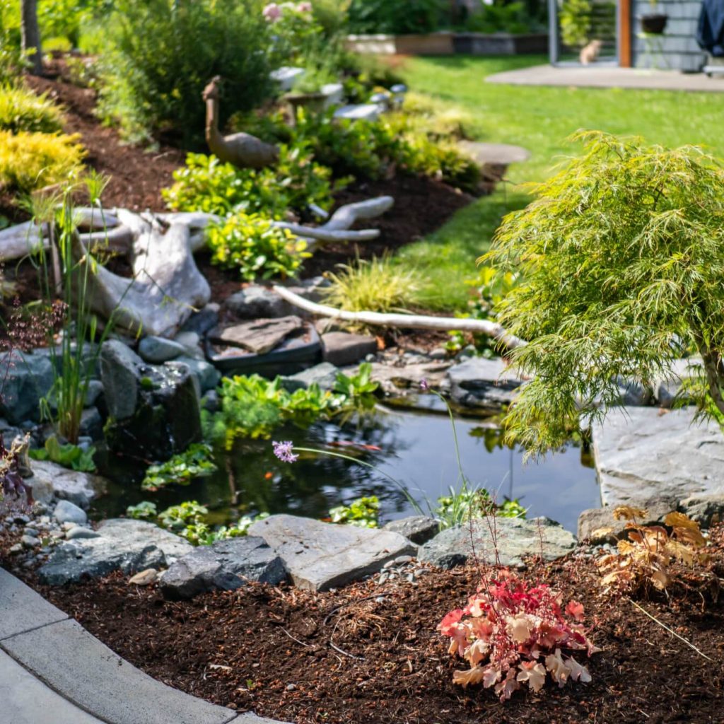 woodland garden patio pond