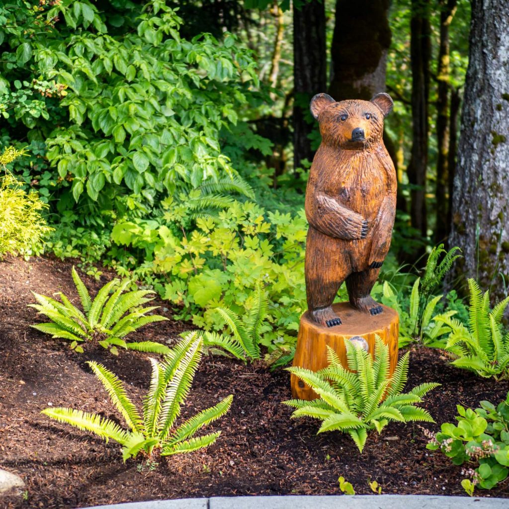 woodland garden detail